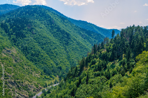 Beautiful summer landscape – mountains covered with green trees, bushes and grass, blue sky.