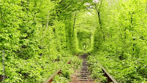 Railway Rails in Summer Green Tunnel