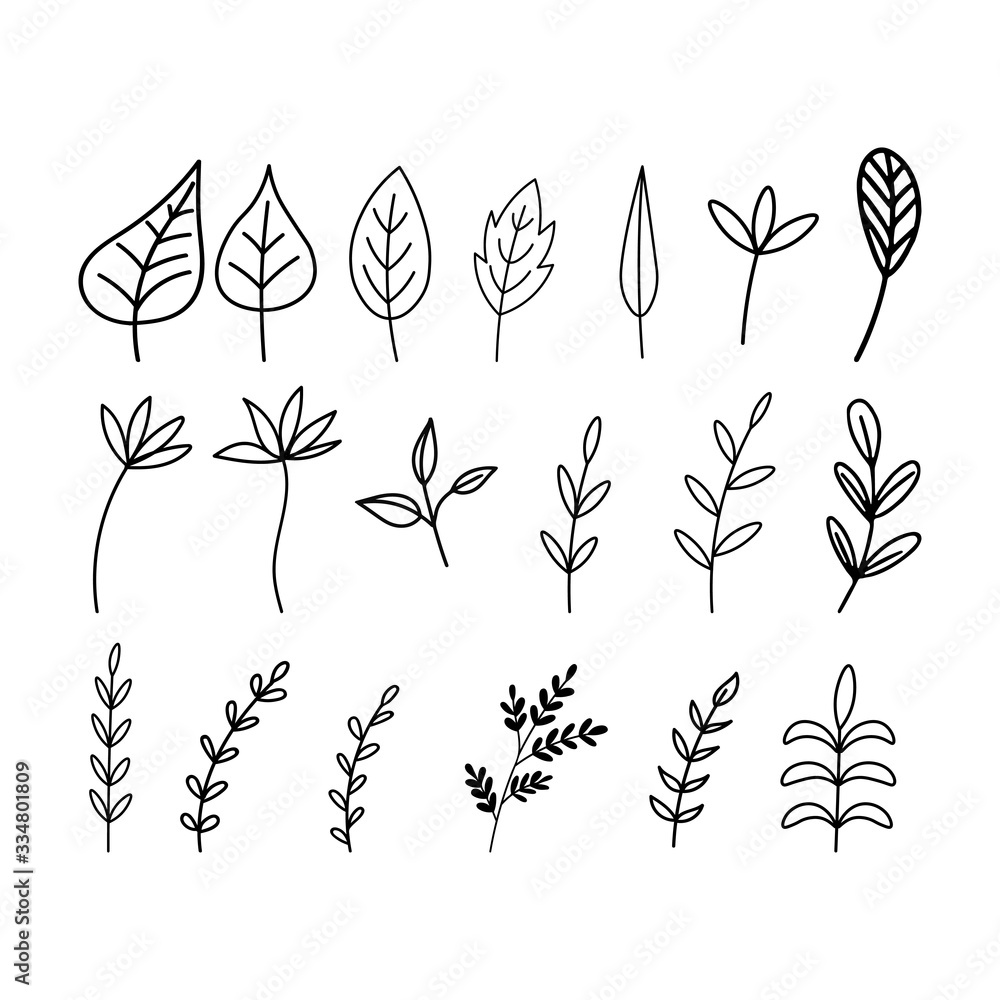Fototapeta Set of hand drawn flat vector botanical leaves line illustrations isolated on a white background.Leaves for greeting cards,invitations,patterns.