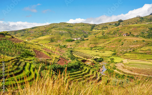 Typical Madagascar landscape - green and yellow rice terrace fields on small hills with clay houses in Andringitra region near Sendrisoa