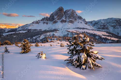 Valokuva the snowcapped Sass De Putia and trees, Passo delle Erbe, Dolomites, Trentino Al