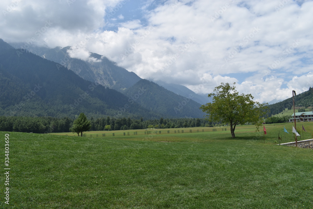 alpine meadow in switzerland
