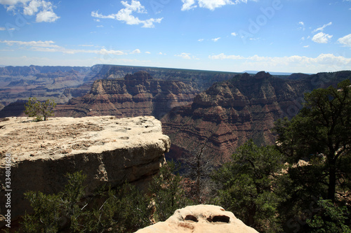 Arizona   USA - August 01  2015  South Rim Grand Canyon landscape  Arizona  USA