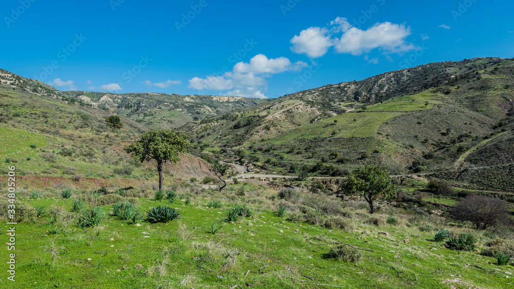 Naklejka premium Peyia Cyprus