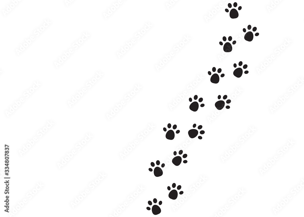 Beast steps in white background. vector illustration Beast steps in white background. vector illustration