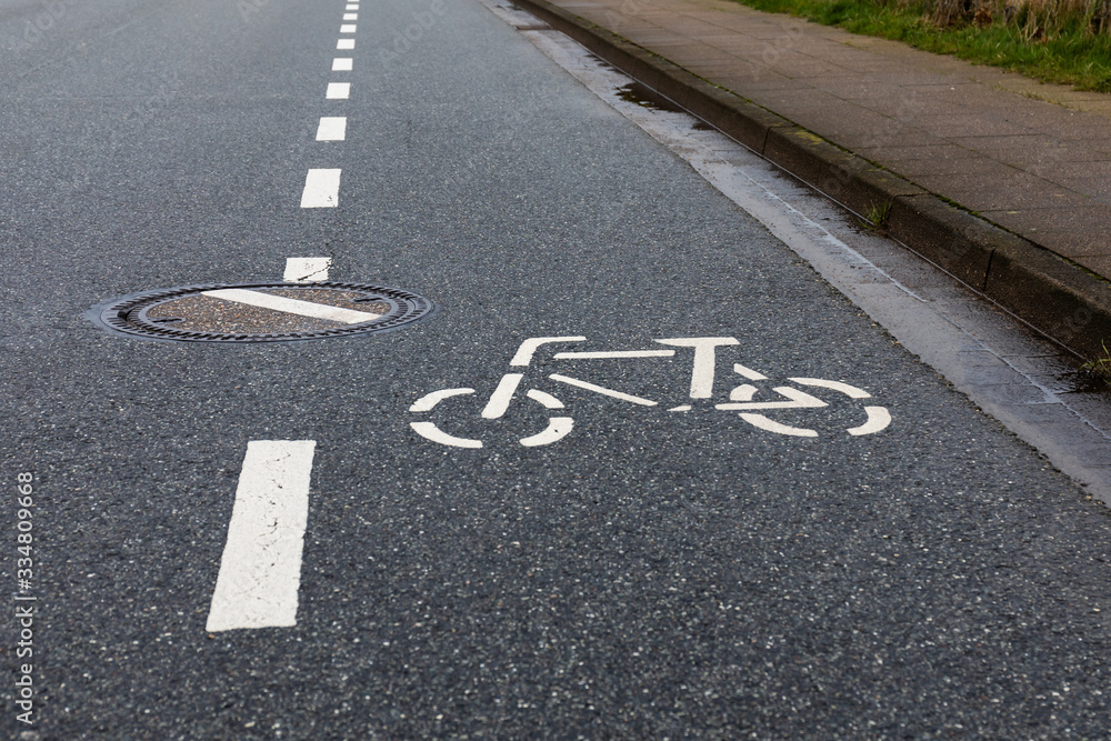 Fototapeta premium bicycle lane sign on road with wrongly turned stoke