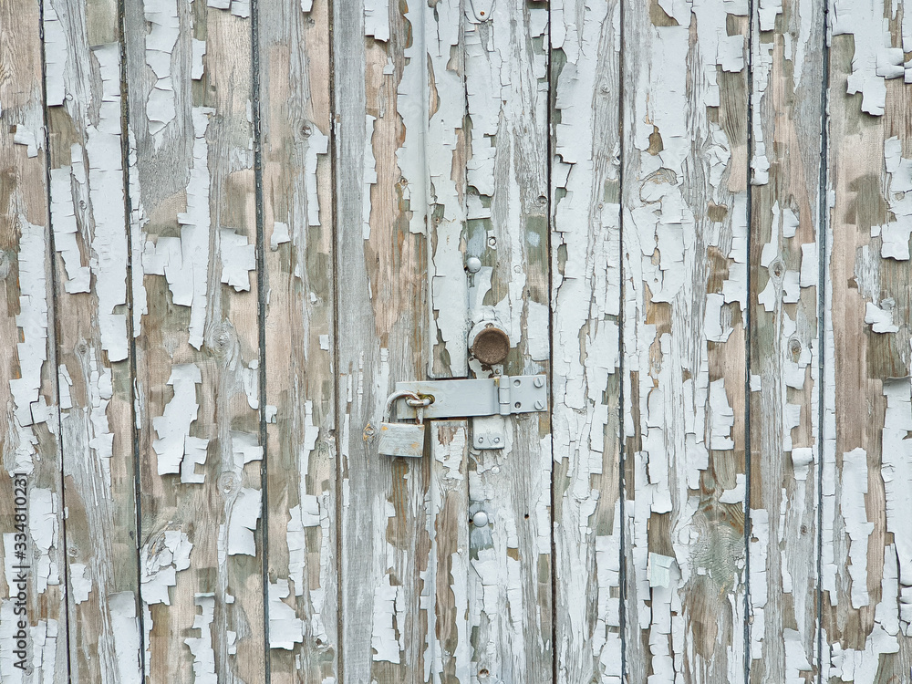 Background texture gray broken paint on old garage wooden door with a lockwooden door with a lock Background texture gray broken paint on old garage wooden door with a lockwooden door with a lock