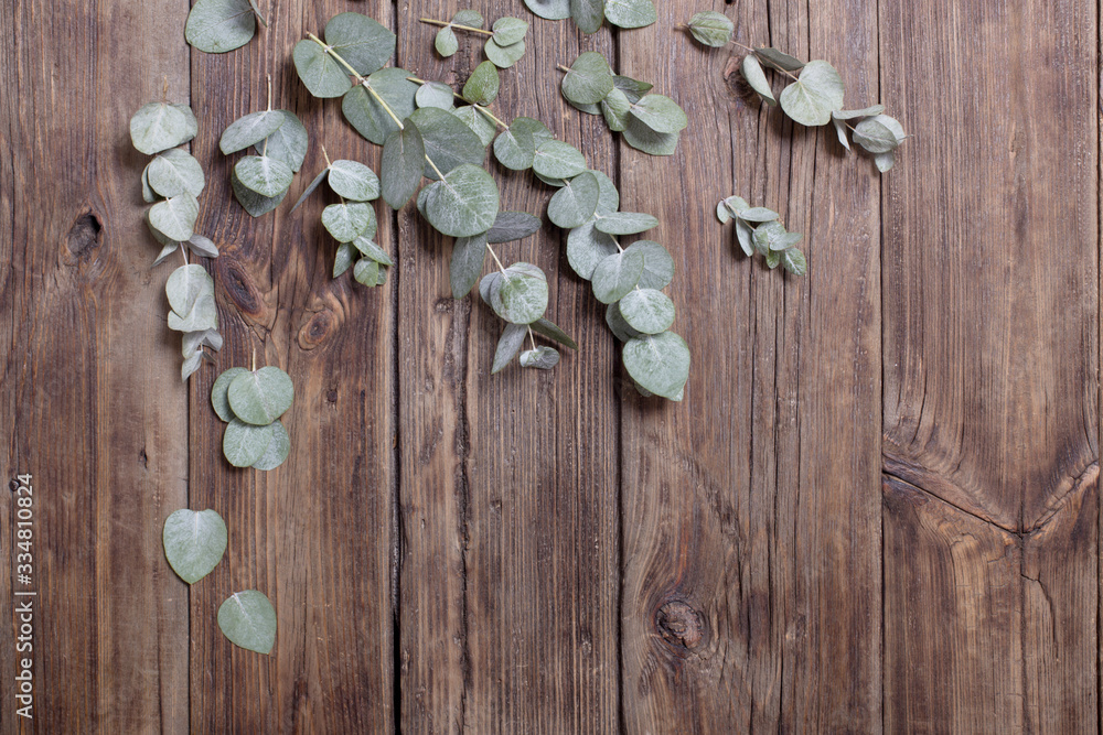 eucalyptus on old dark wooden background