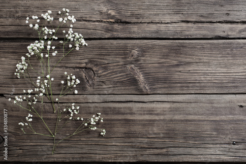 gypsophila flowers on old wooden background