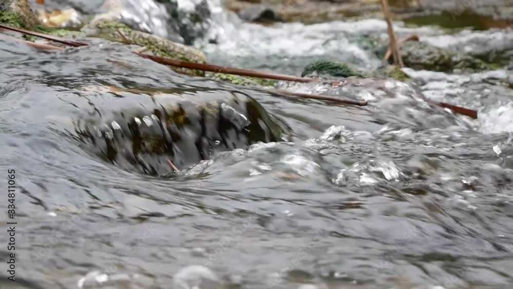 Close up video of crystal clear water running in the forest Close up video of crystal clear water running in the forest
