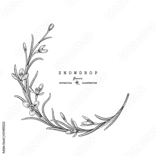 Sketch Floral decorative set. Snowdrop flower drawings. Black and white with line art isolated on white backgrounds. Hand Drawn Botanical Illustrations. Elements vector.