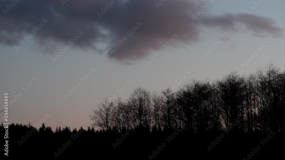 After sunset tree line After sunset tree line