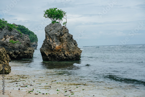 Eroded sea stack with a tree atop standing in the water next to a shore line