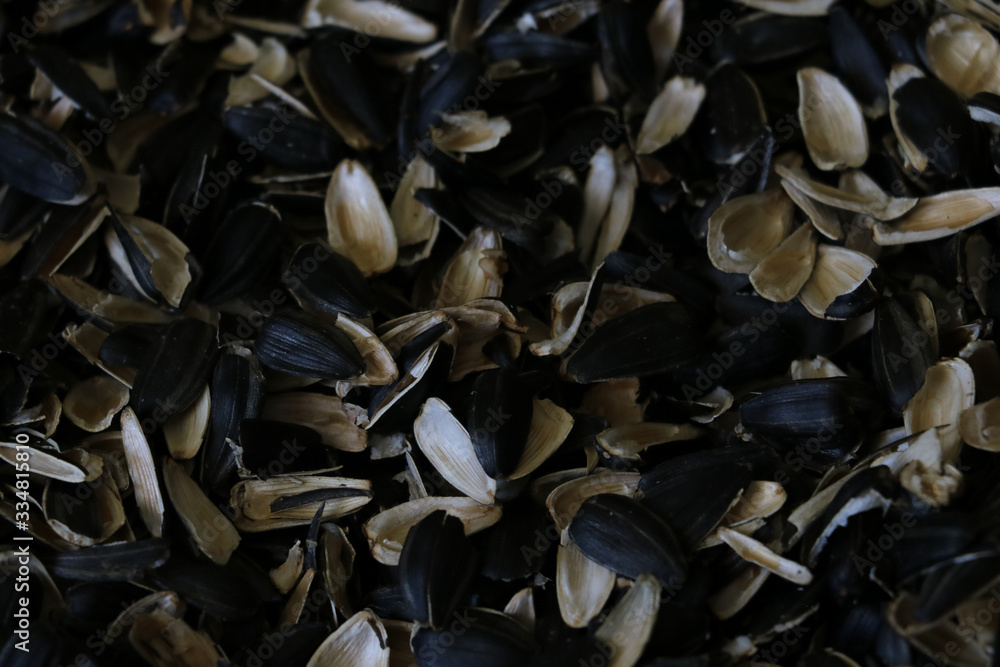 Husks of sunflower seeds. Abstract husks background, selective focus.