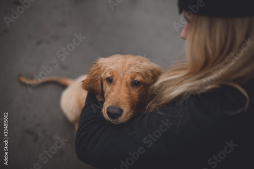 Puppy love at the beach