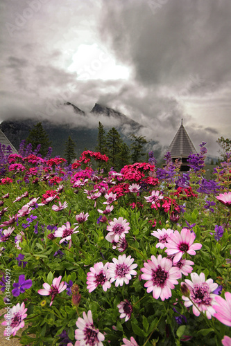 Gerbera daisis and other colourful flowers in the foreground of mountains peeking through the clouds.