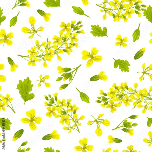 Seamless background of flower and leaves mustard. Vector illustration.