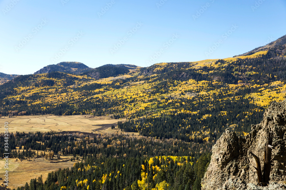 The view of Aspen Trees from Wolf Creek Pass in Colorado
