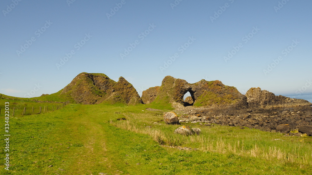 Obraz premium OLYMPUS DIGITAL CAMERA