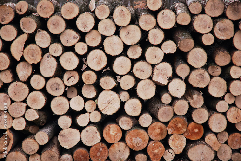 Pile of wood Pile of wood