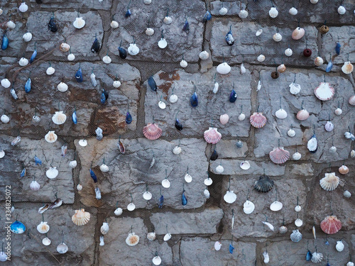 Shells on a net