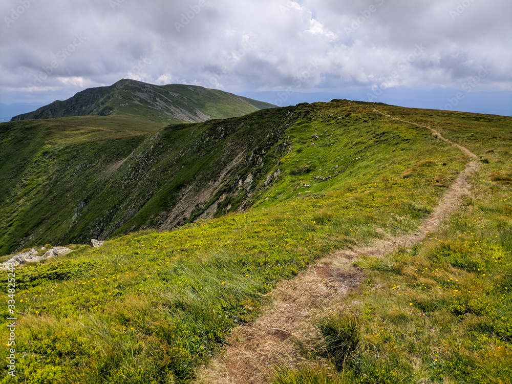 Nature of the Carpathian Mountains Nature of the Carpathian Mountains