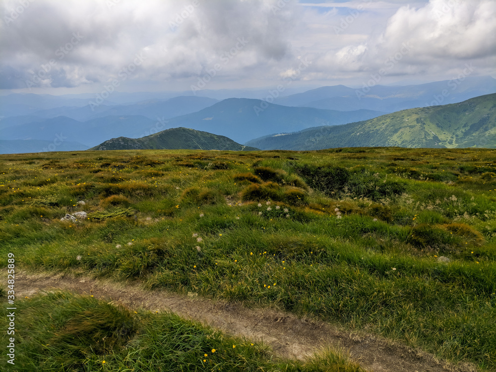Fototapeta premium Nature of the Carpathian Mountains