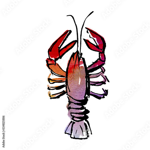 lobster vector illustration