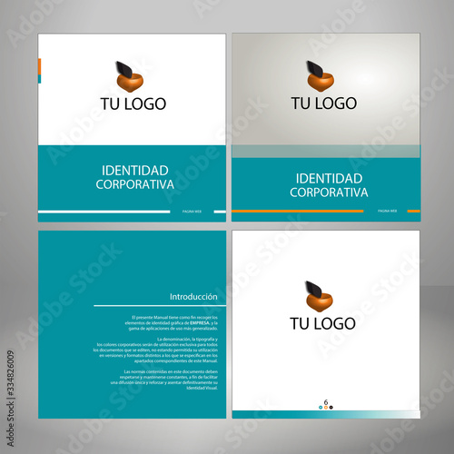 corporate identity maual