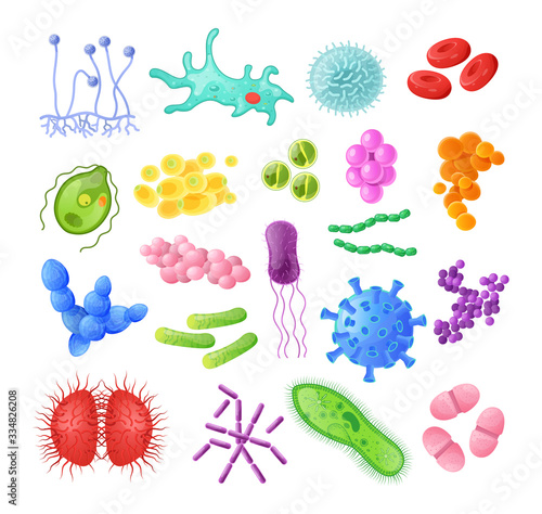 Microorganism, bacteria, virus cell, bacillus, disease bacterium and fungi cells. Infectious germs, protists, microbes, coronavirus. Bundle of disease causing bacteria, viruses cartoon illustration