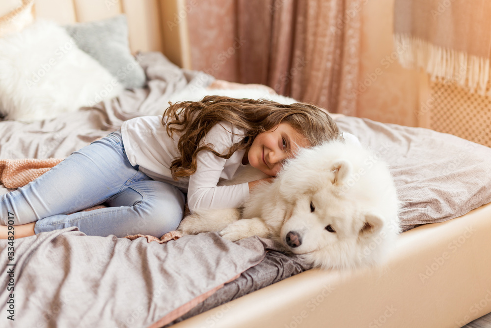 Home portrait of cute child hugging with dog on the sofa Home portrait of cute child hugging with dog on the sofa