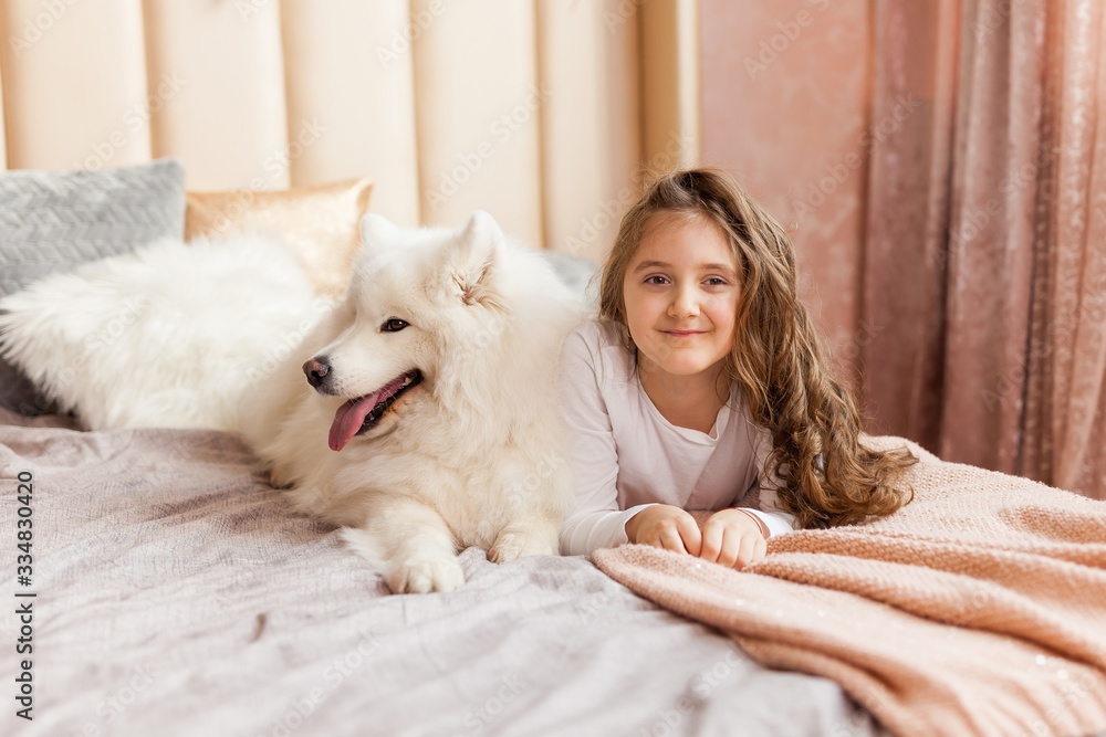 Home portrait of cute child hugging with dog on the sofa Home portrait of cute child hugging with dog on the sofa