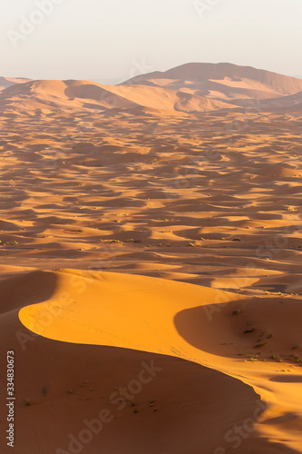 Desert Sahara with beautiful lines and colors at sunrise. Merzouga  Morocco