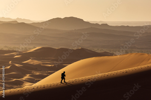 Man walking on dunes of Desert Sahara with beautiful lines and colors at sunrise. Merzouga, Morocco