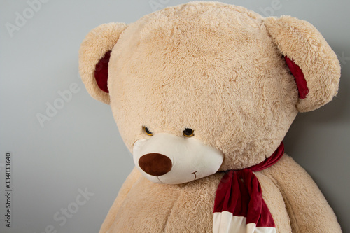 big teddy bear in a scarf, side view.