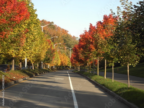 Fall Color