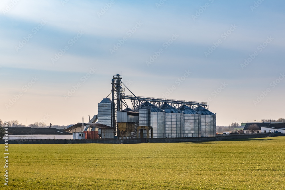 Fototapeta premium agro-processing and manufacturing plant for processing and silver silos for drying cleaning and storage of agricultural products, flour, cereals and grain. Granary elevator.