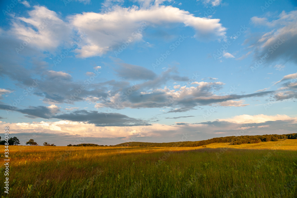 Sunset over a grassy meadow Sunset over a grassy meadow