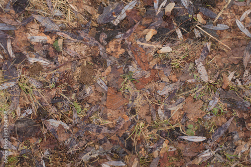 Texture of winter dry leaves on the ground. Autumn leaves in forest underfoot. Forest leaves surface. Mountain leaves structure, overhead shot. Forest foliage surface. Forest pathway texture.