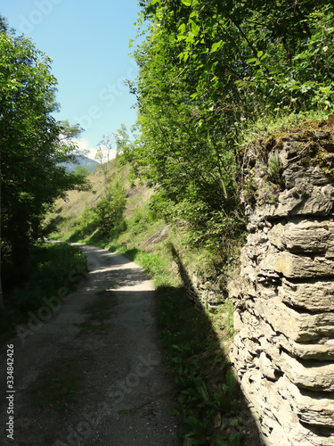 sentier en montagne chemin randonnée 