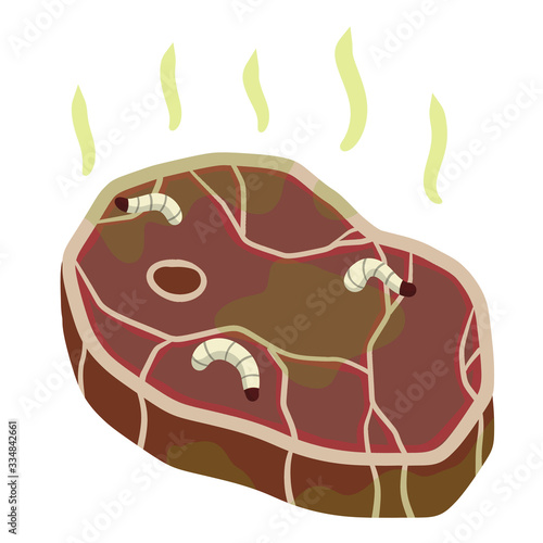 Rotten meat. Stinky food. Maggot worms. White insect caterpillars on meal. Health hazard. Cartoon flat illustration
