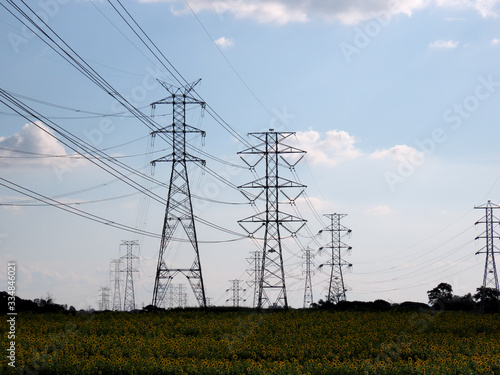 Farm with sunflower plantation surrounded by electric grid