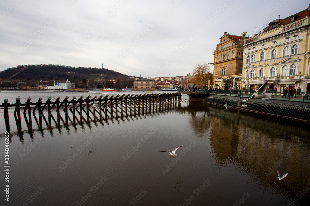 Seagulls flying over a dock in Prague