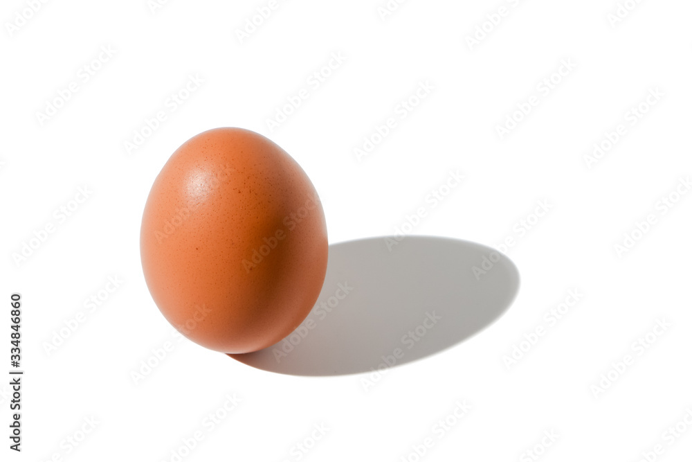 brown egg with shade on white background brown egg with shade on white background