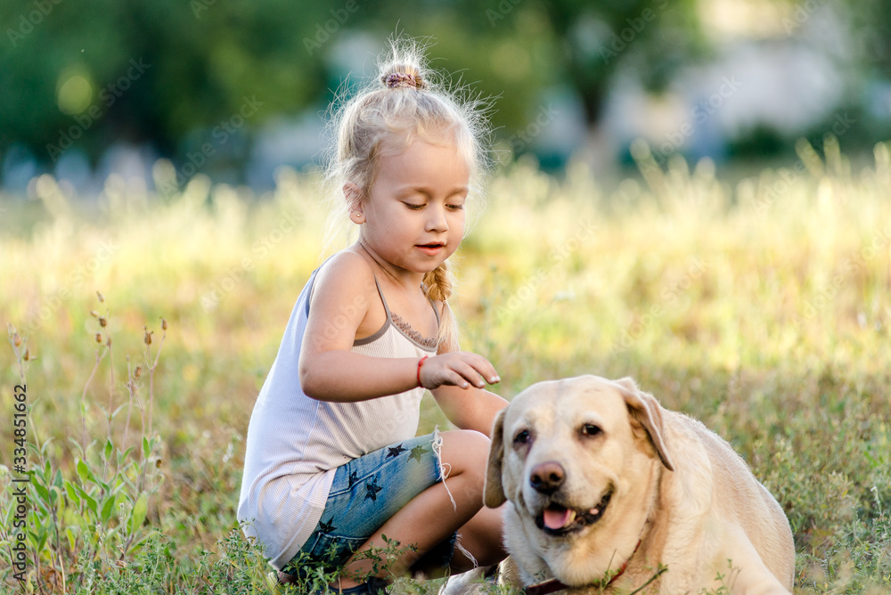 Little girl is playing with a labrador in the park. Little girl is playing with a labrador in the park.