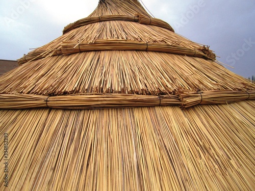 Parasol in dried herbs. Generally used in Africa. Really it's beautiful.