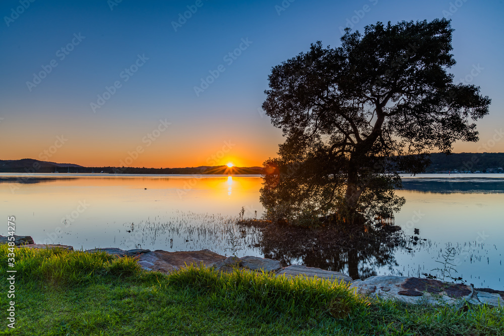 Bright and Sunny Bay waterscape with Tree in the Water