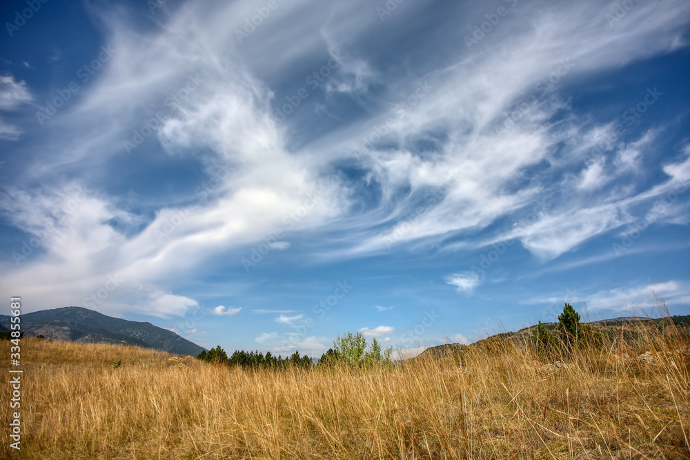 The beauty of nature. Landscape .