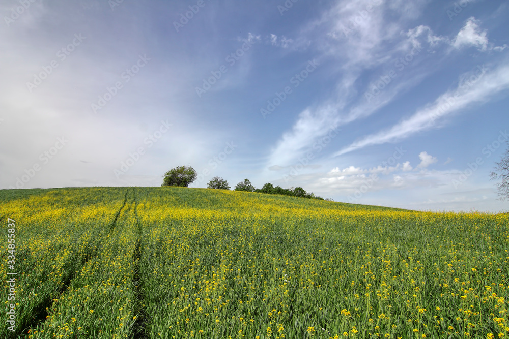 Obraz premium The beauty of nature. Landscape .