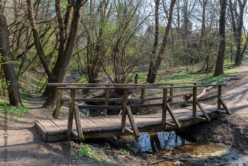 Small wooden bridge in the Buda mountains near the village Solymar, Hungary. Small wooden bridge in the Buda mountains near the village Solymar, Hungary.